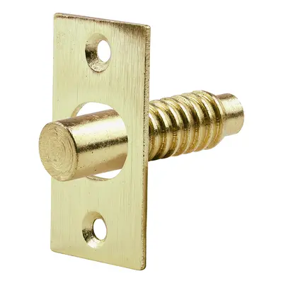 Timco 200606 Hinge Bolt - Electro Brass 48Mm Bag 2