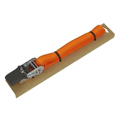 Sealey TD0635E Ratchet Strap 25Mm X 5M Polyester Webbing With Corner Protector 600Kg Breaking St