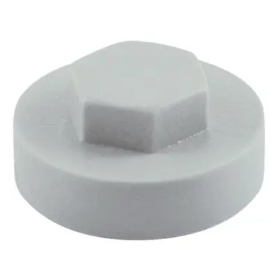 TIMco Hex Cover Cap - Oyster 16mm Bag 1000