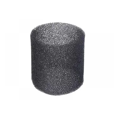 Evolution 086-0103 R15Vac Foam Filter