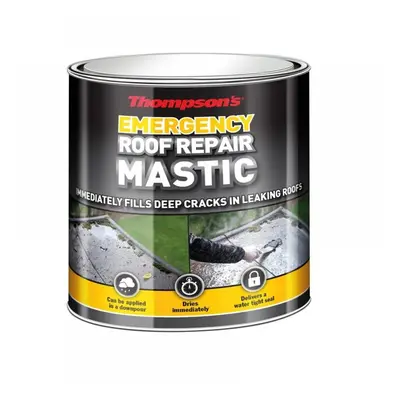 Ronseal 36082 Thompsonfts Emergency Roof Repair Mastic 750Ml