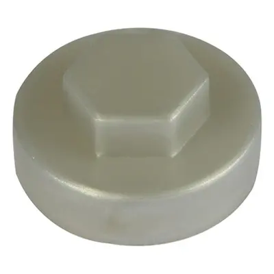 TIMco Hex Cover Cap - Metallic Silve 16mm Bag 1000