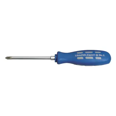 Draper Expert 67859 Cross Slot Mechanicfts Screwdriver 100Mm No.2 (Sold Loose) each