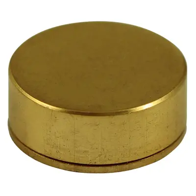 Timco TSC16PBP Threaded Screw Caps - Solid Brass - Polished Brass 16Mm TIMpac 4