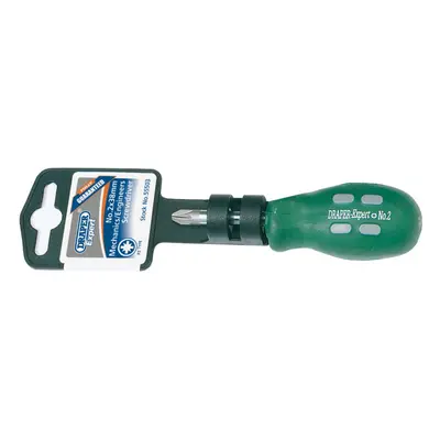 Draper Expert 55503 Pz Type Mechanicfts Screwdriver No.2 X 38Mm each