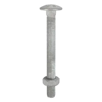 Timco 12200CBG Carriage Bolts & Hex Nuts - Hot Dipped Galvanised M12 X 200 Box 10