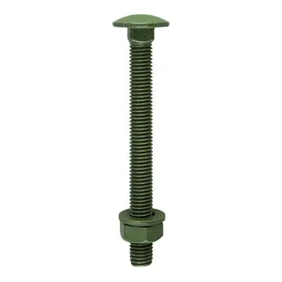 Timco 10150INCB Carriage Bolts Hex Nuts & Form A Washers - Dome - Exterior - Green M10 X 150 Bag