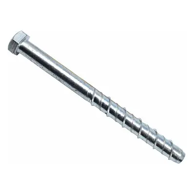 Masonmate® Hex Concrete Screwbolt M16 X 200Mm (10) 0855M620200