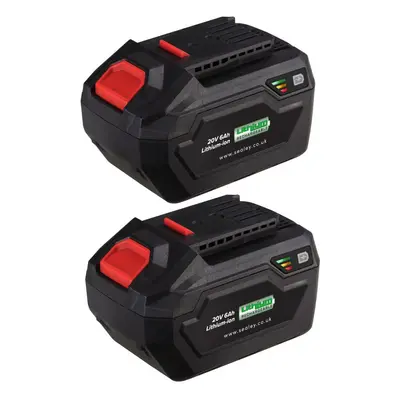 Sealey BK06 Power Tool Battery Pack 20V 6Ah Kit For Sv20 Series