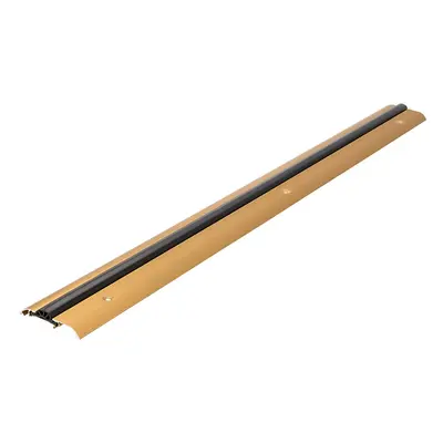 Fixman 834295 Easy Access Door Threshold 914Mm Gold Each 1