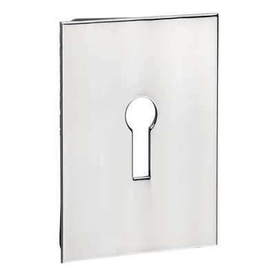 Timco Lock Profile Self-Adhesive Escutcheon - Oblong - Polished Stainless Steel Bag 1 200027