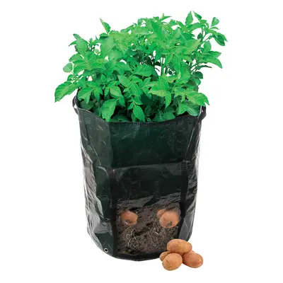 Silverline 261137 Potato Planting Bag 360 X 510Mm Each 1