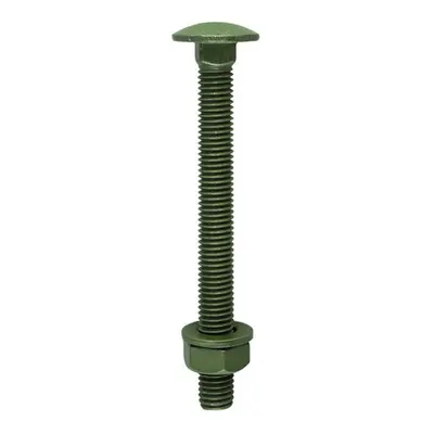 Timco 10100INCB Carriage Bolts Hex Nuts & Form A Washers - Dome - Exterior - Green M10 X 100 Bag