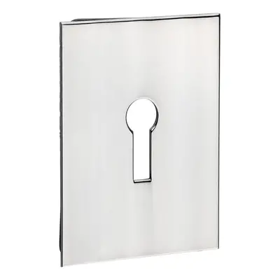 Timco Lock Profile Self-Adhesive Escutcheon - Oblong - Polished Stainless Steel TIMpac 1 200027P