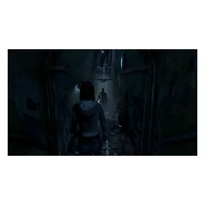 Until Dawn (2015) PS4 Account