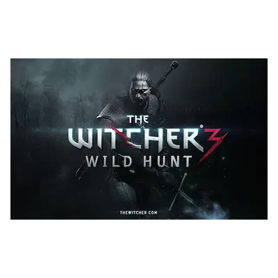 The Witcher 3: Wild Hunt GOG Key (Digital Download): EU Multi-Language key (all languages) (Regi