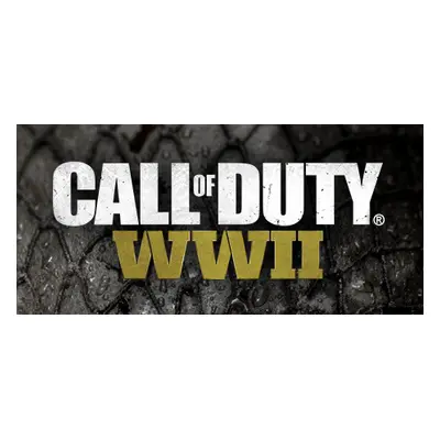 Call of Duty: WWII Steam Key