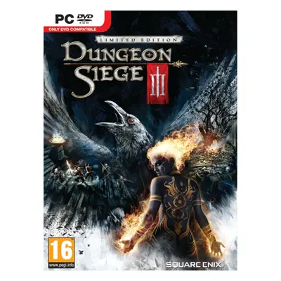 Dungeon Siege 3 Steam Key