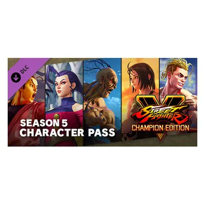 Street Fighter V - Season 5 Character Pass Steam Key