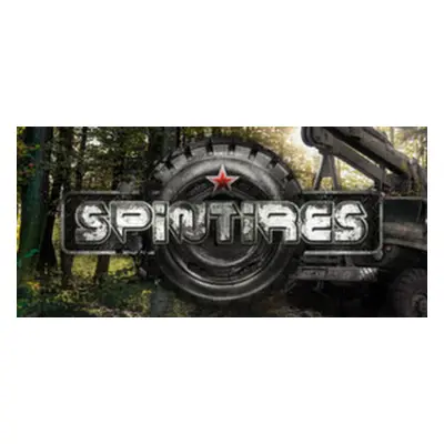 SPINTIRES Steam Key: VPN Activated version (requires activation with Russian VPN then works Regi