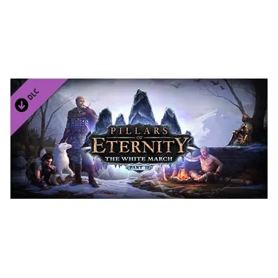 Pillars of Eternity: The White March Part II Steam Key