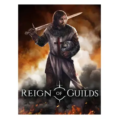 Reign of Guilds Steam Account