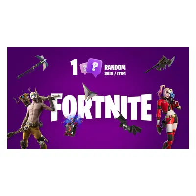 1 Random Fortnite Skin / Item Epic Games Key