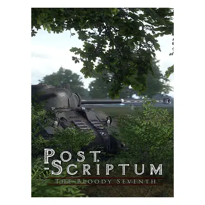 Post Scriptum Steam Account