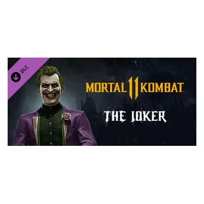 Mortal Kombat 11 The Joker Steam Key