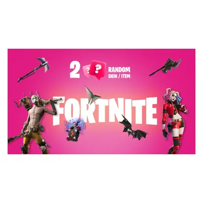 2 Random Fortnite Skins / Items Epic Games Key