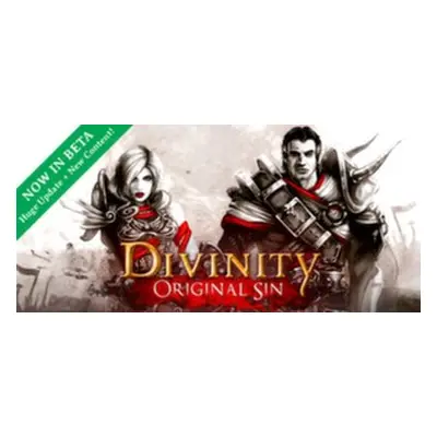 Divinity: Original Sin Steam Key