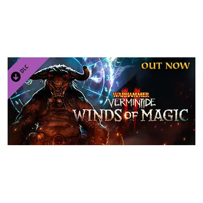 Warhammer: Vermintide 2 - Winds of Magic Steam Key