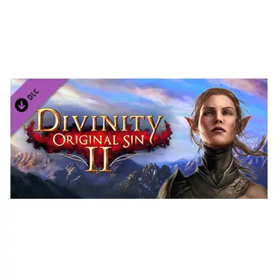 Divinity: Original Sin 2 - Divine Ascension GOG Key (Digital Download)