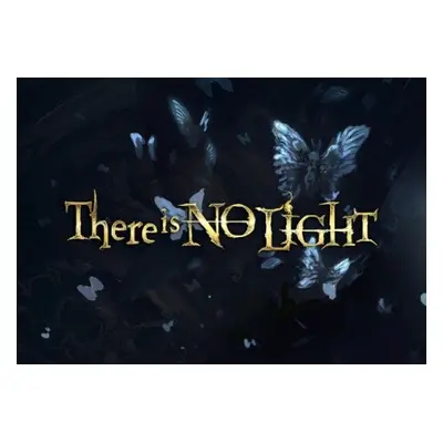 There Is No Light EN United States (Xbox One/Series)