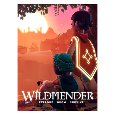 Wildmender Steam Account