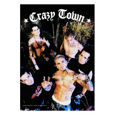 flag Crazy Town - Band