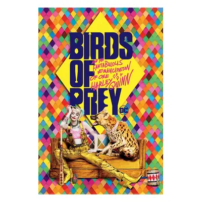 poster Birds of pray - DC COMICS - PYRAMID POSTERS