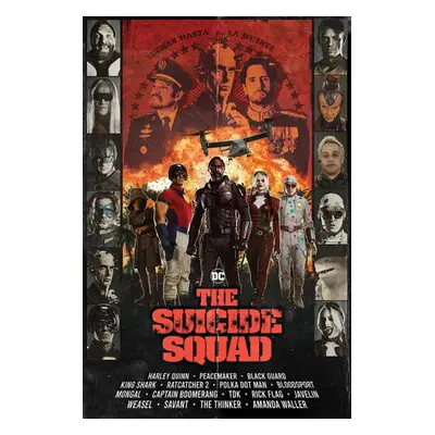 poster Suicide Squad - Team - DC COMICS - PYRAMID POSTERS