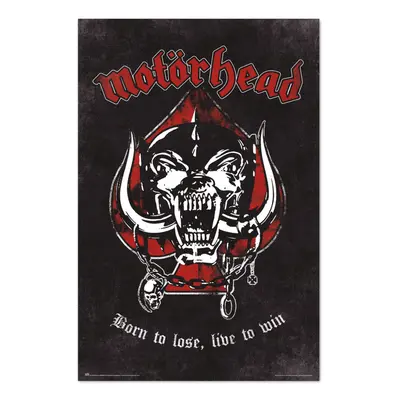 poster Motörhead - BORN TO LOSE