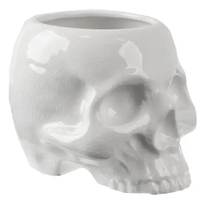 decoration (flowerpot) KILLSTAR - Cranium