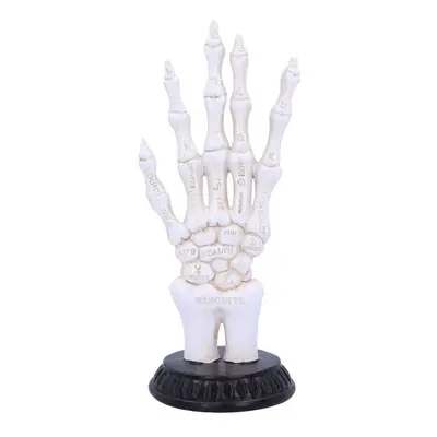 Decoration Skeletal Palmistry