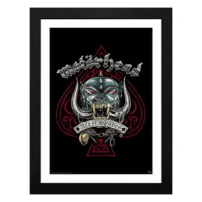 image Motörhead - Pig Tattoo