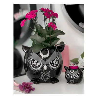 decoration (flowerpot) KILLSTAR - Owl - Black