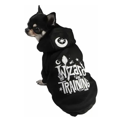 Dog suit KILLSTAR - Wizard In Training - Black