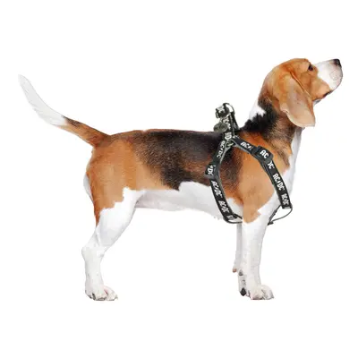 Harness for dog AC / DC