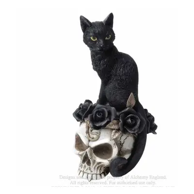 Decoration ALCHEMY GOTHIC - Black Cat & Skull