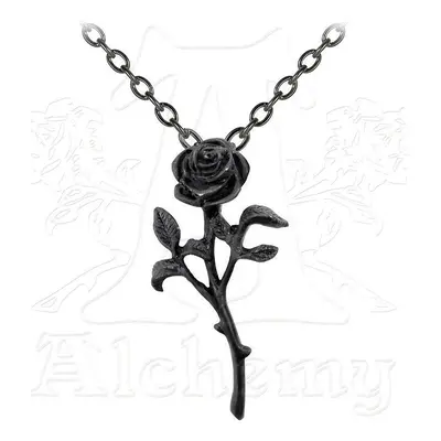 collar The Romance Of The Black Rose - ALCHEMY GOTHIC