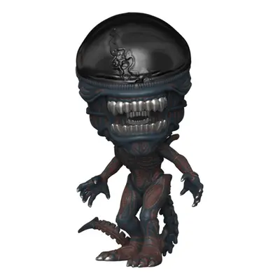 figure Aliens Romulus - POP! - Scorched Xenomorph