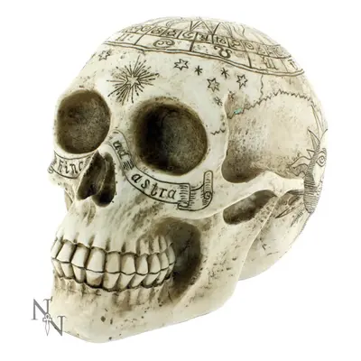 decoration Astrological Skull