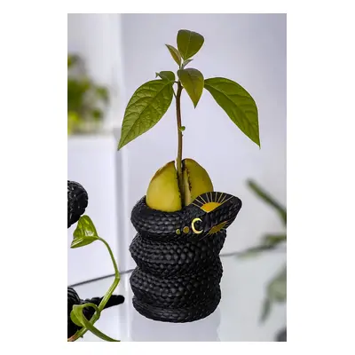 vase (decoration) KILLSTAR - Serpentina Bud - Black